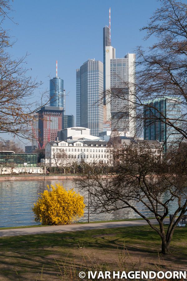 Frankfurt skyline