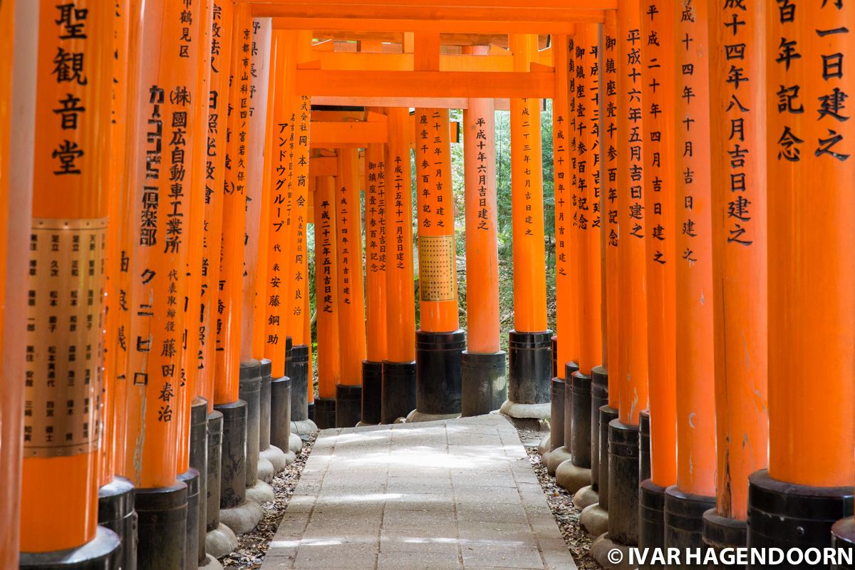 Torii gates at Fushimi Inari-taisha in Kyoto