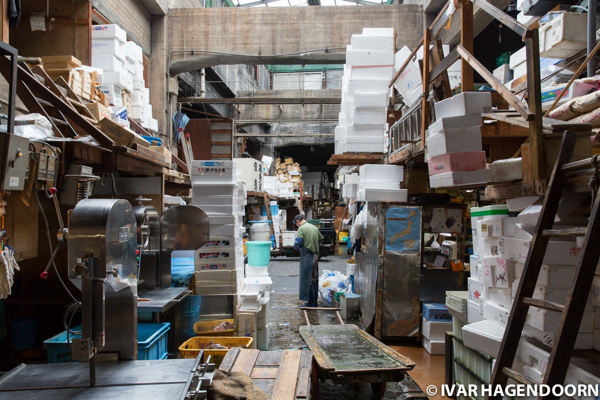 Tsukiji Fish Market