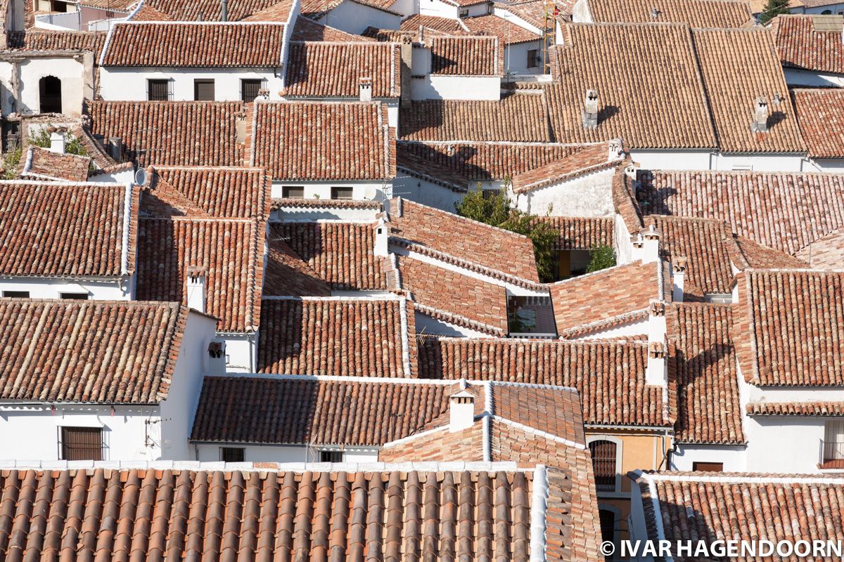 Red rooftops in Grazalema