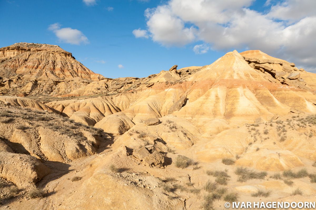 Bardenas Reales