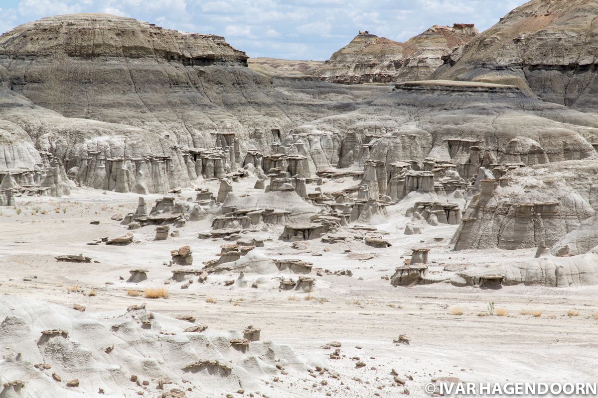 Bisti Badlands