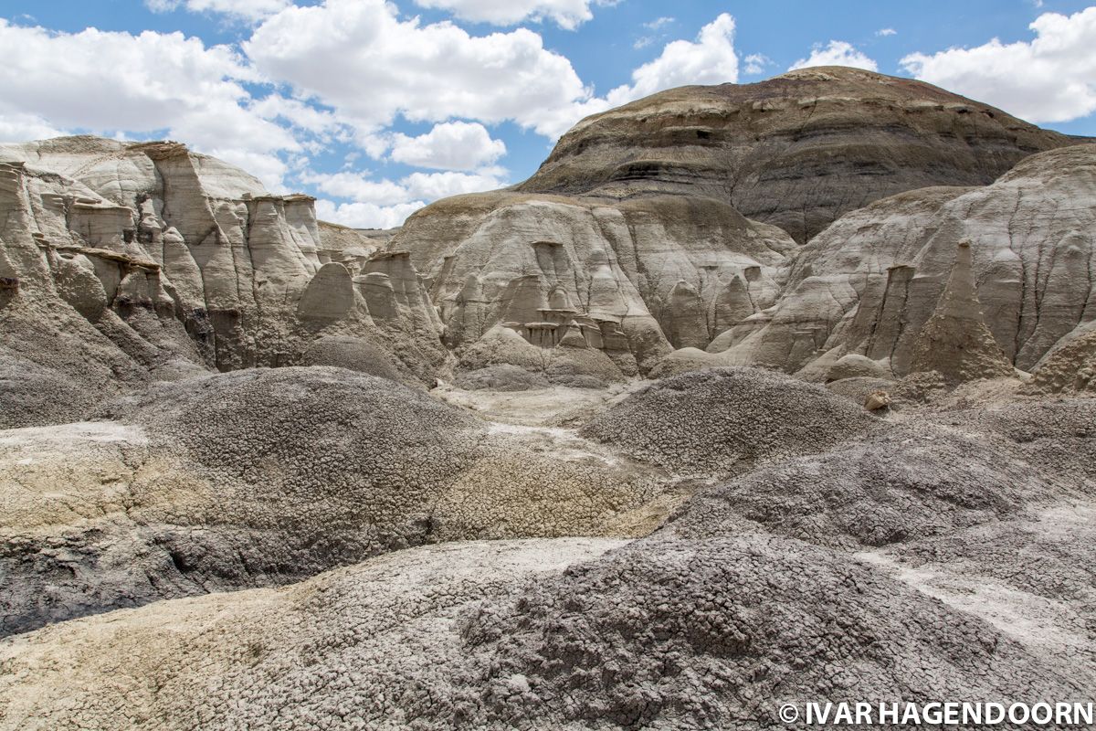 Bisti Badlands