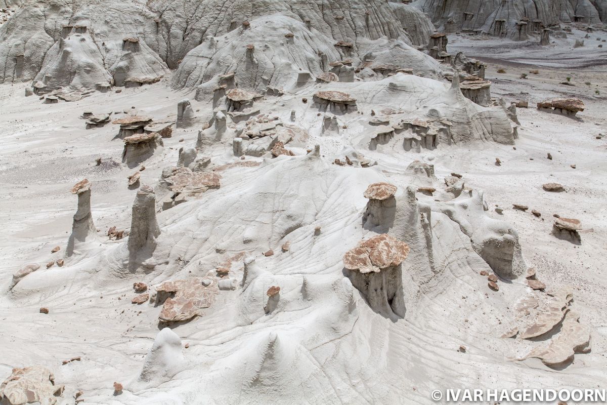 Bisti Badlands