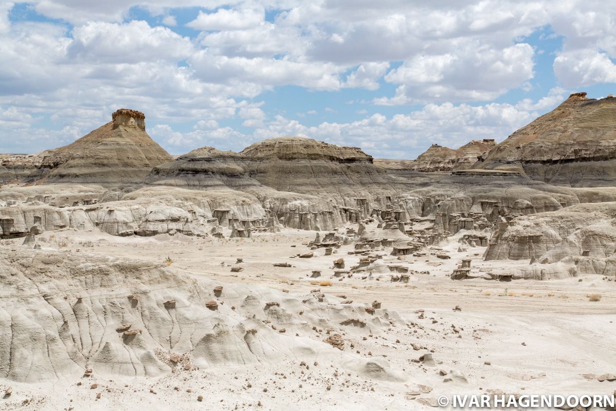 Bisti Badlands