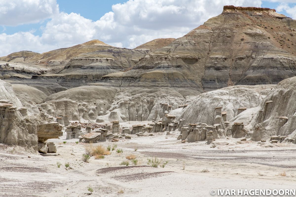 Bisti Badlands