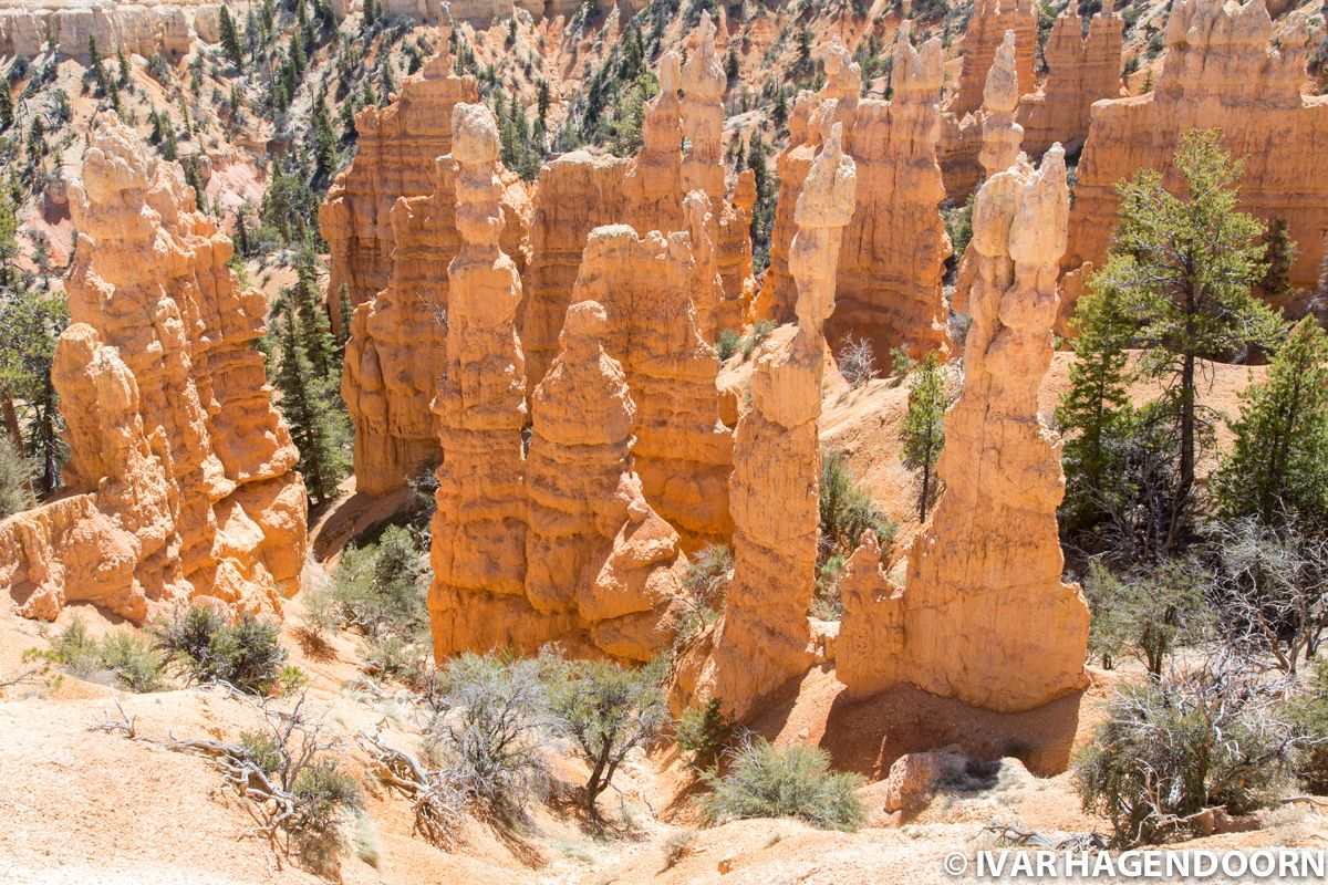 Bryce Canyon