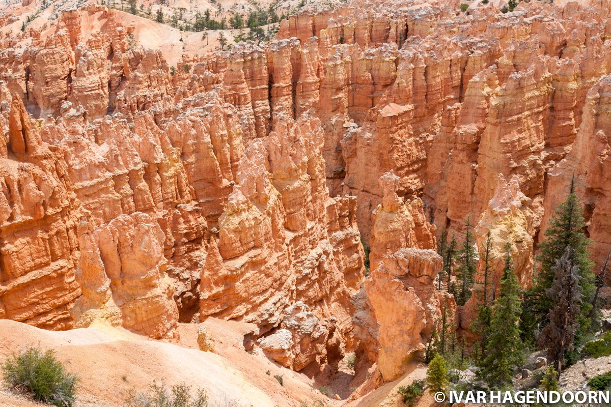 Bryce Canyon