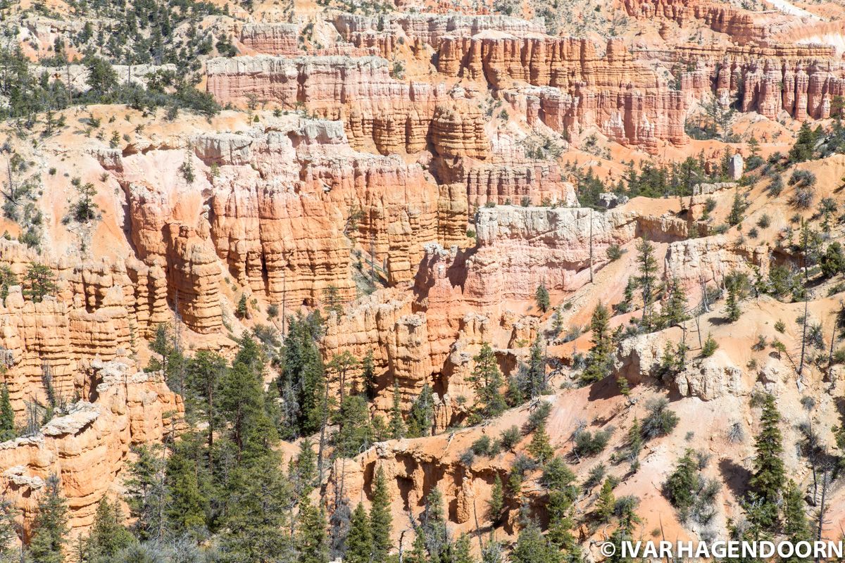 Bryce Canyon