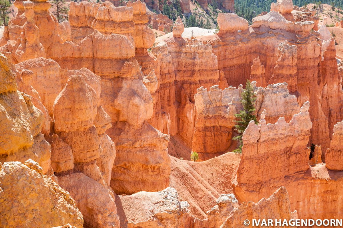 Bryce Canyon