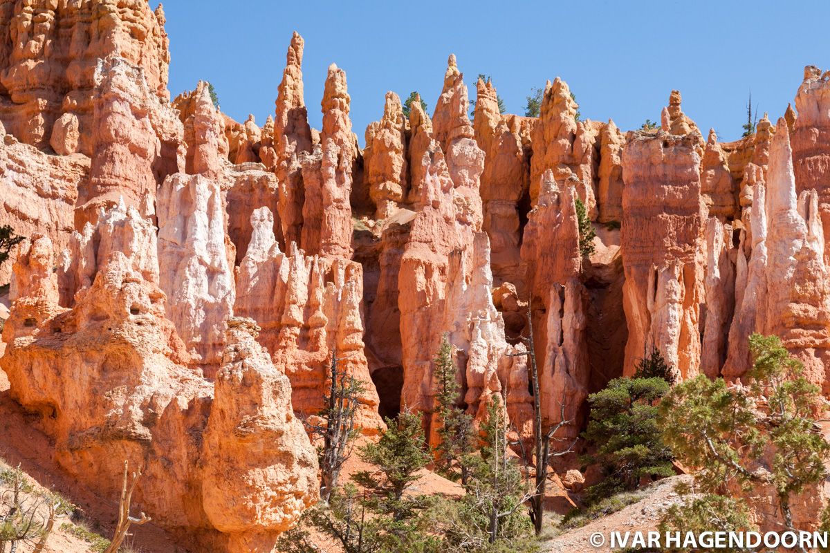 Bryce Canyon