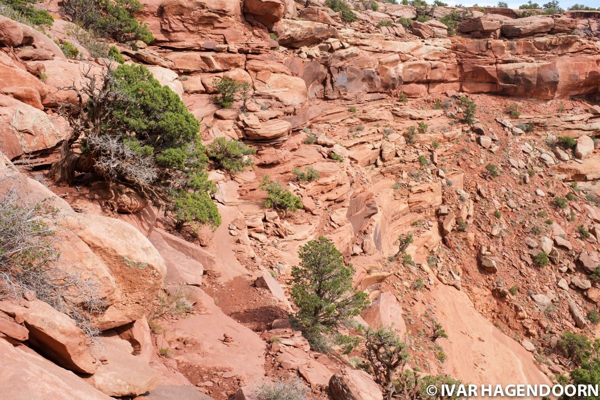 Murphy Loop Trail, Canyonlands National Park