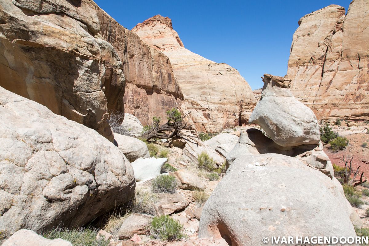 Capitol Reef National Park