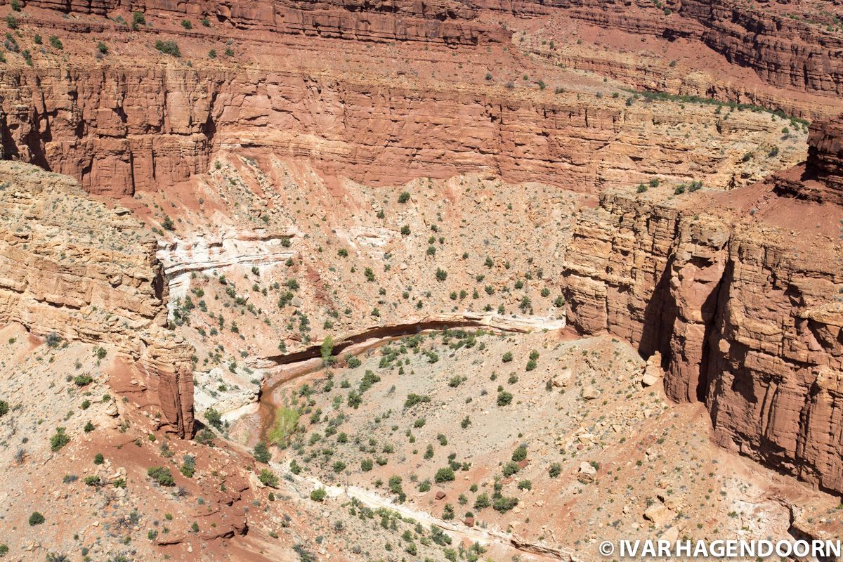 Capitol Reef National Park