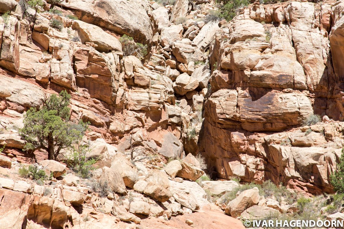 Capitol Reef National Park