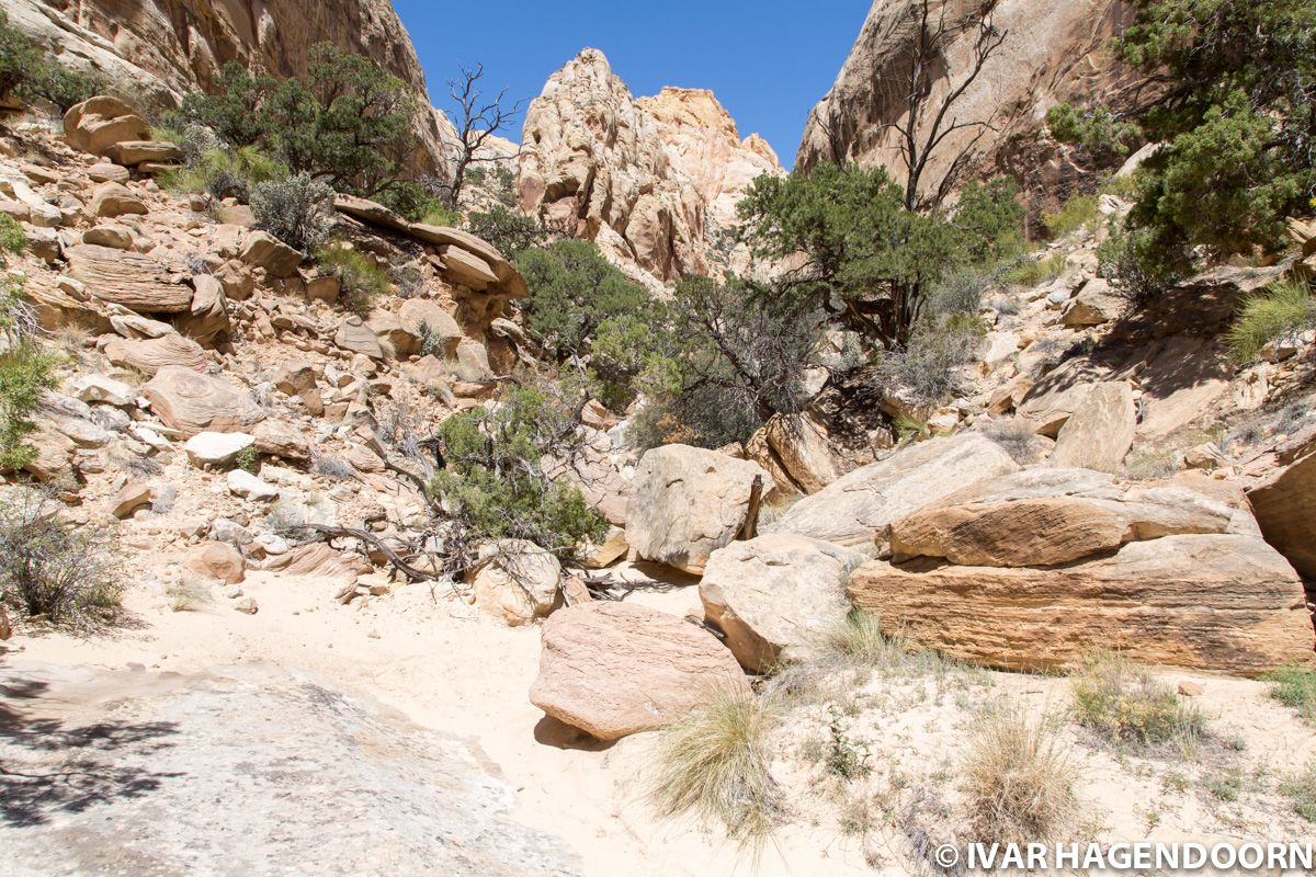 Capitol Reef National Park