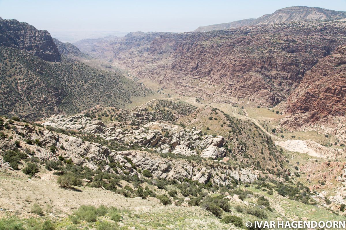 Wadi Dana, Dana Biosphere Reserve