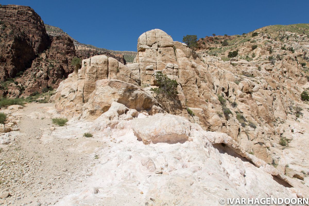 Wadi Dana, Dana Biosphere Reserve