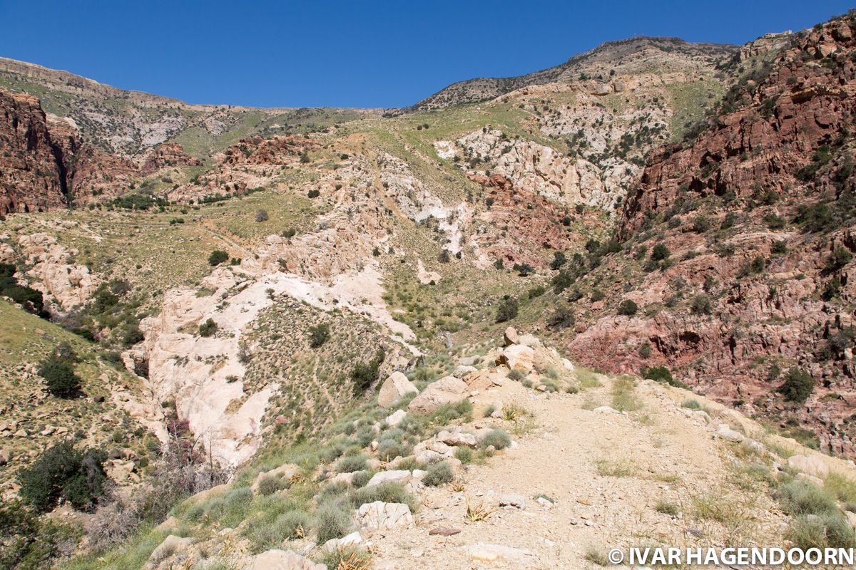 Wadi Dana, Dana Biosphere Reserve