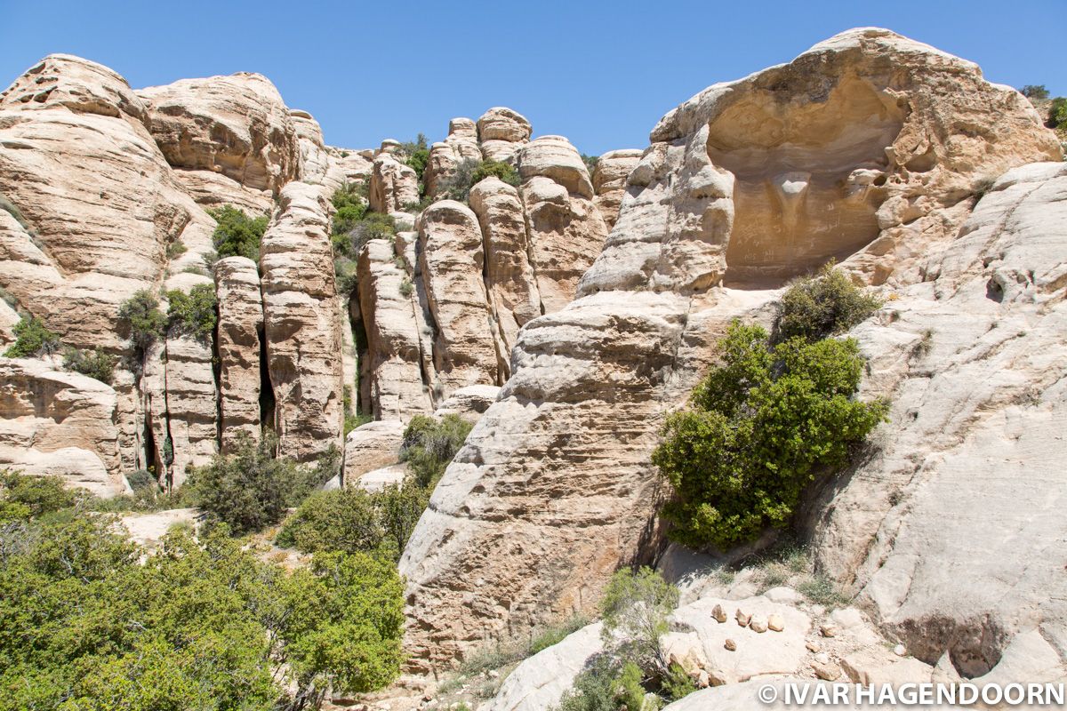 Dana Biosphere Reserve