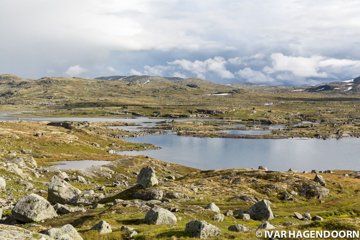 Hardangervidda National Park