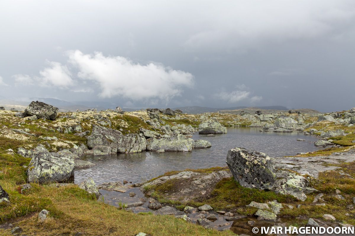 Hardangervidda National Park