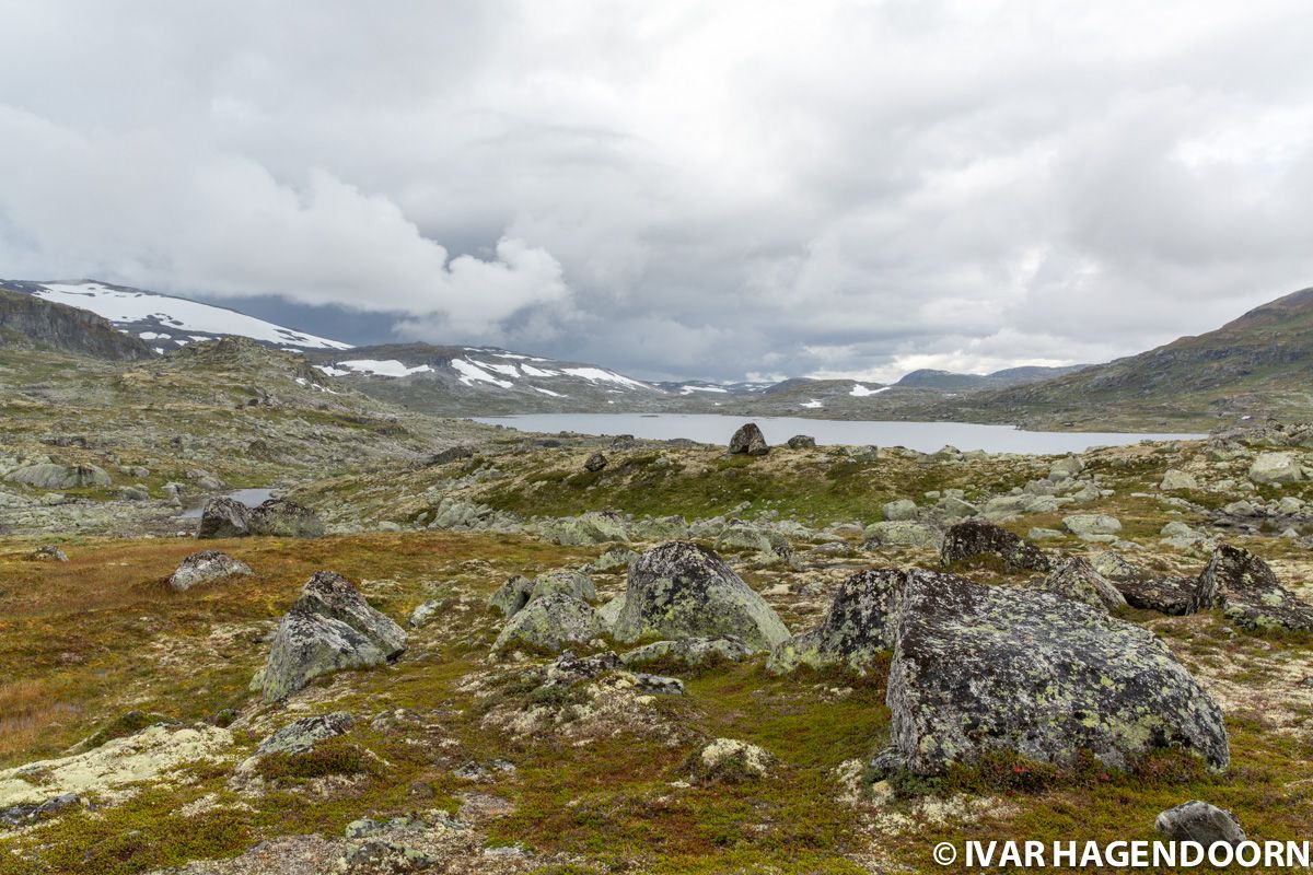 Hardangervidda National Park