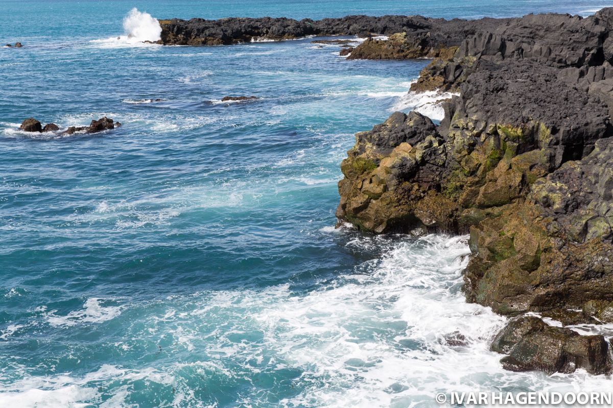 Reykjanes coast