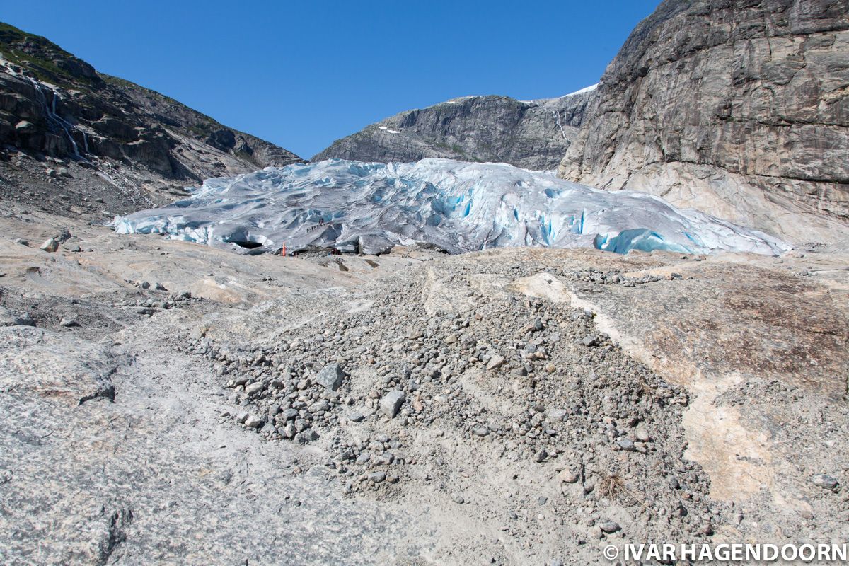 Nigardsbreen