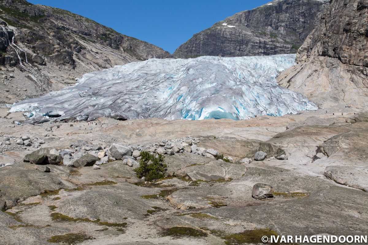 Nigardsbreen