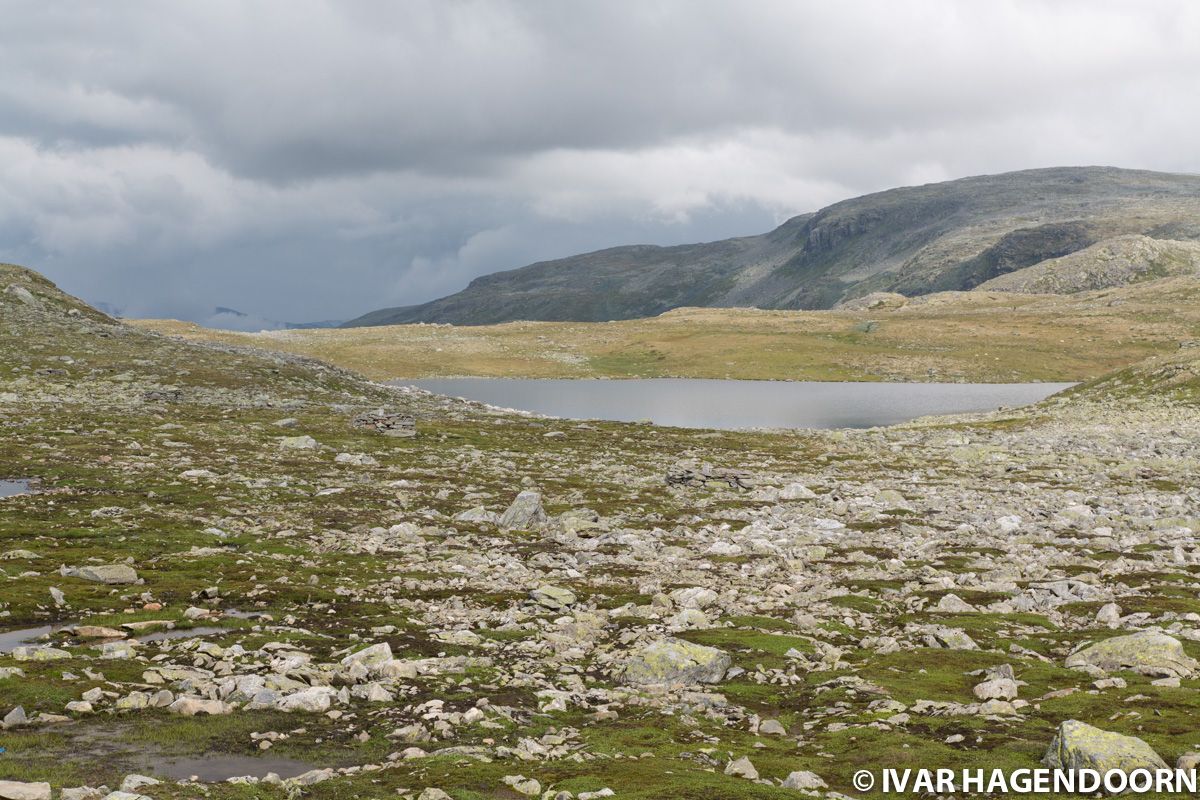 Aurlandsfjellet