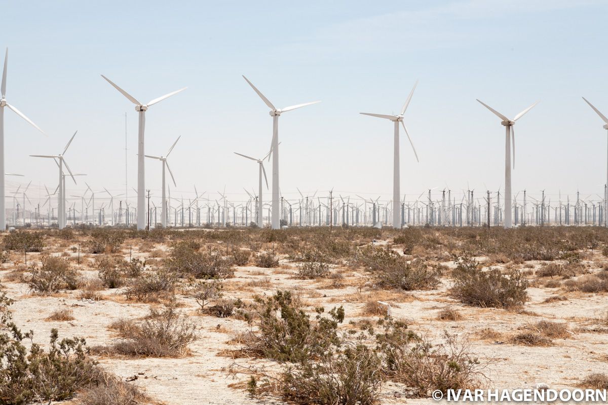 Wind farm, Palm Springs