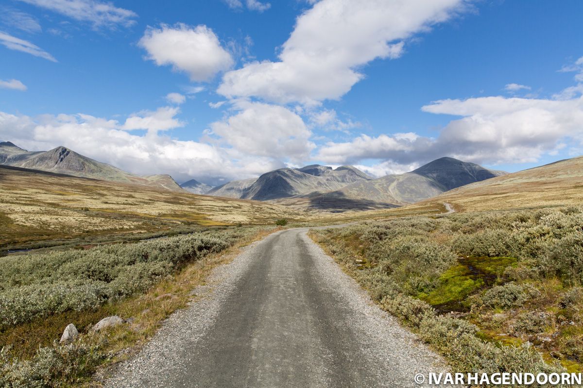 Rondane National Park