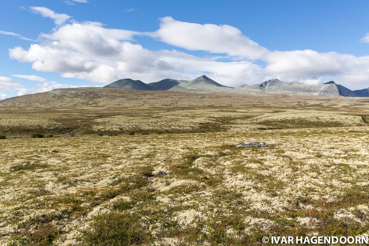 Rondane National Park