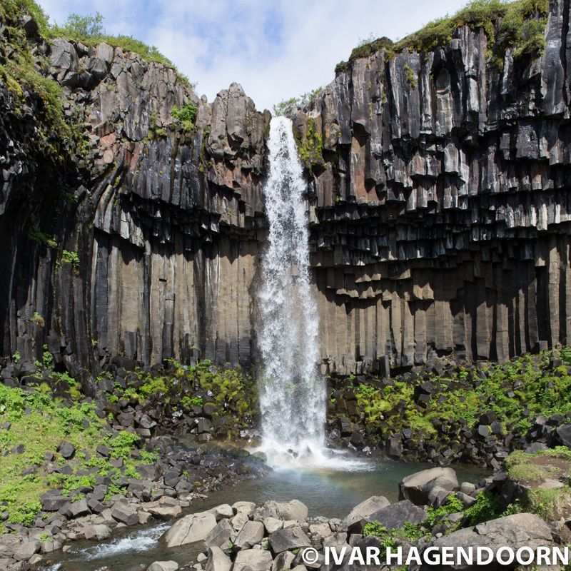 Svartifoss