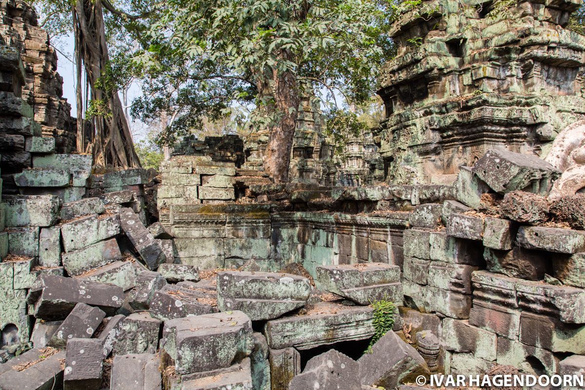 Ta Prohm