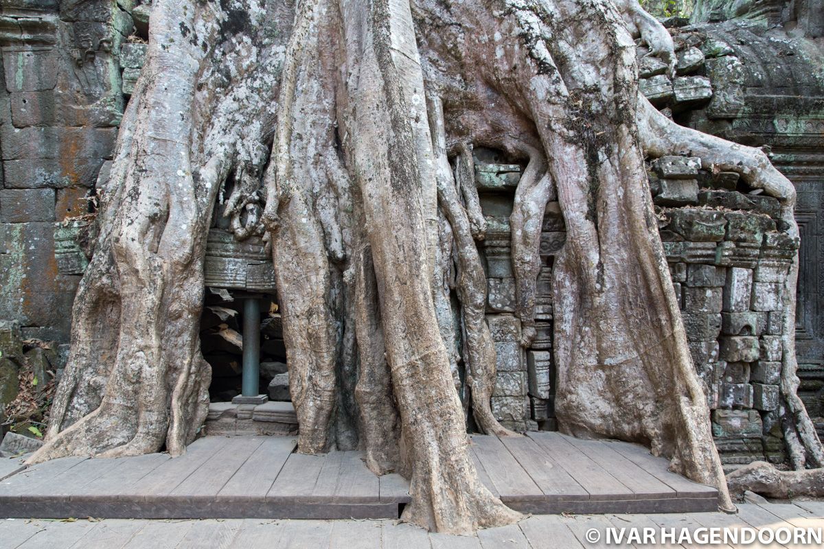 Ta Prohm