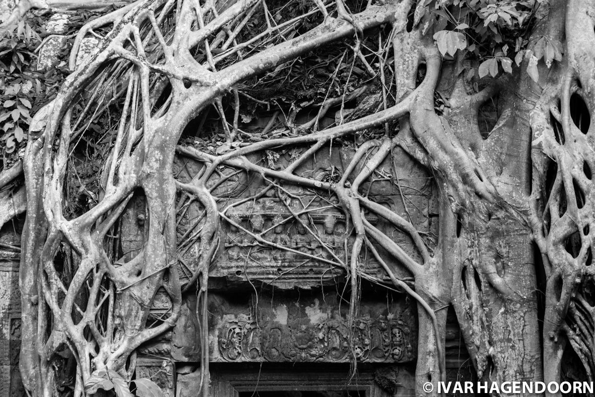 Ta Prohm