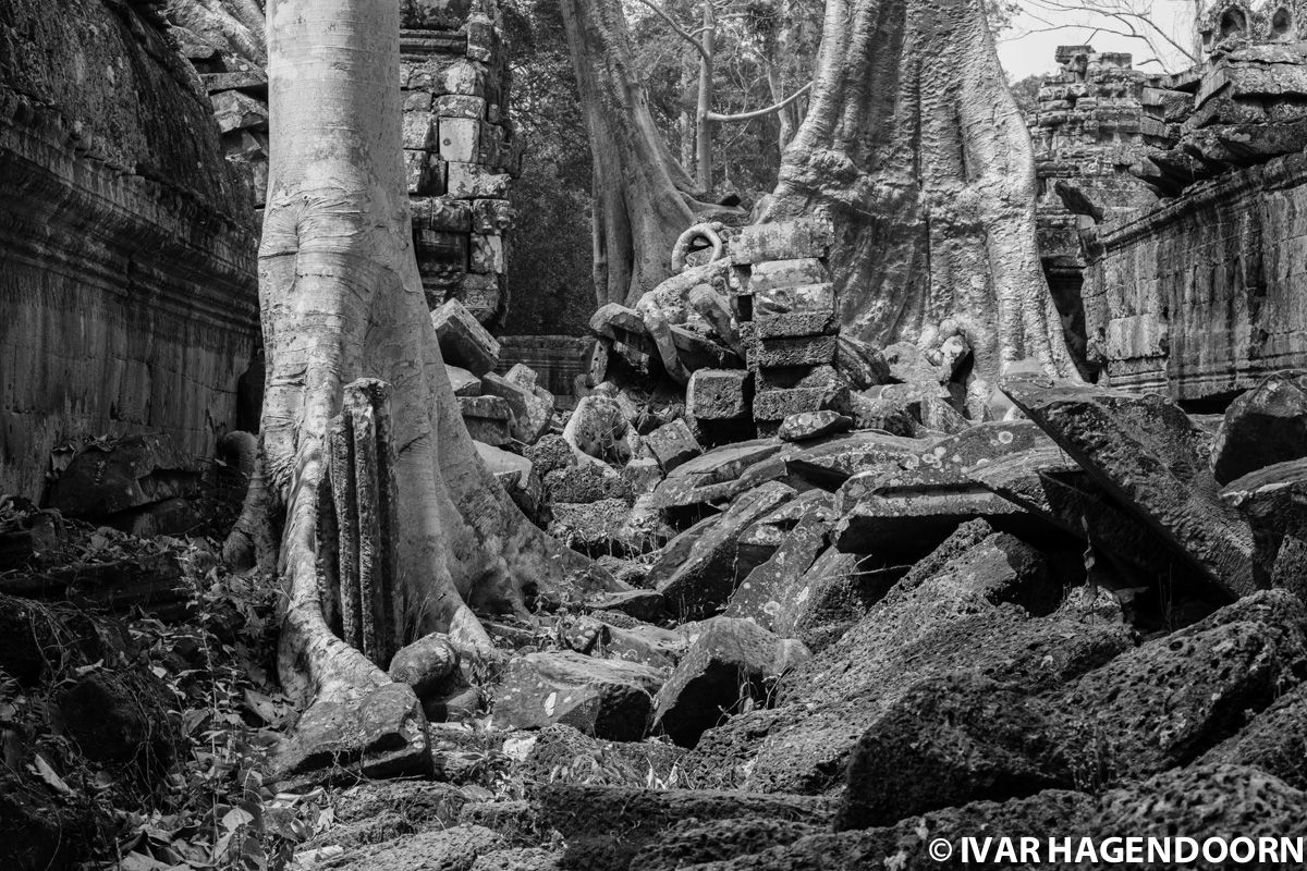 Ta Prohm