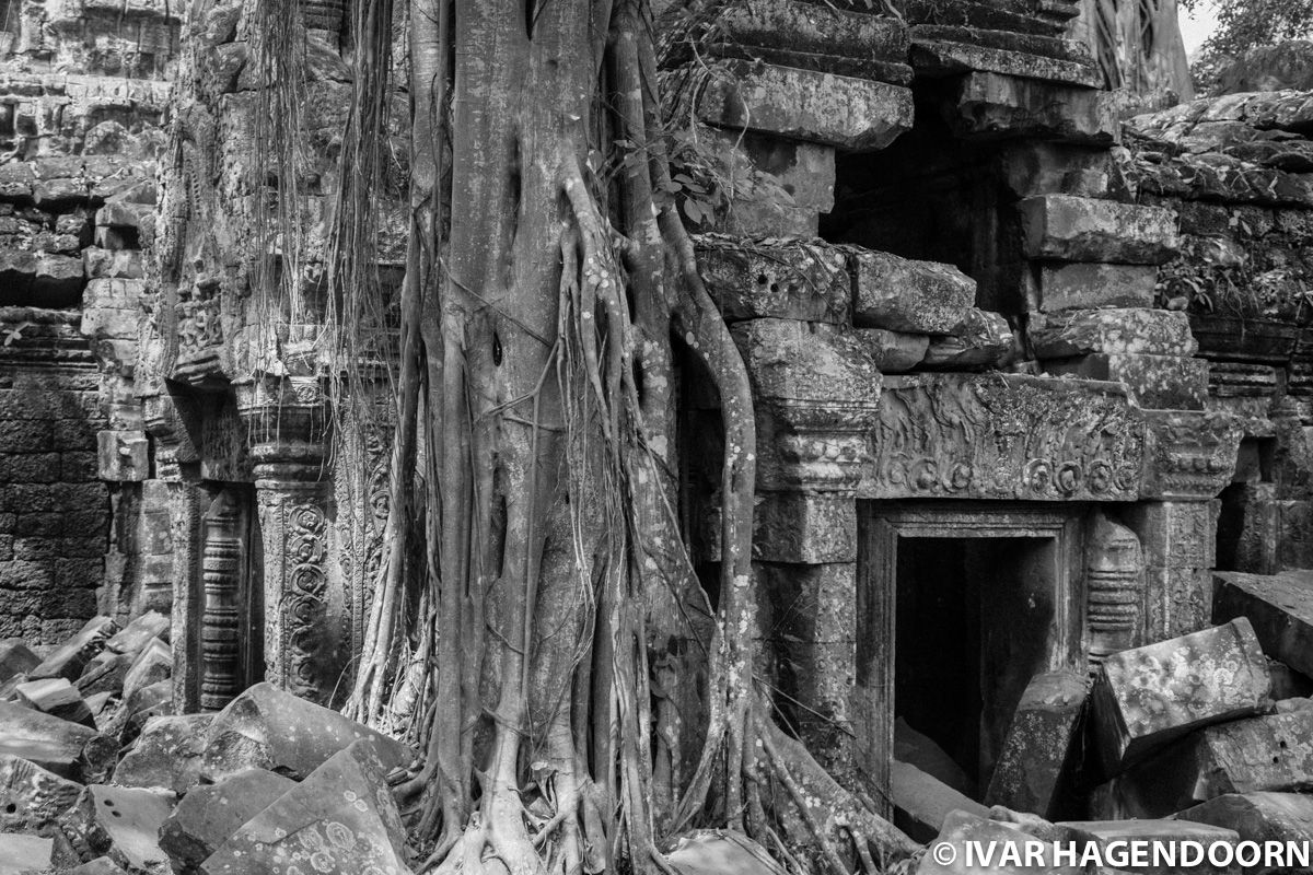 Ta Prohm