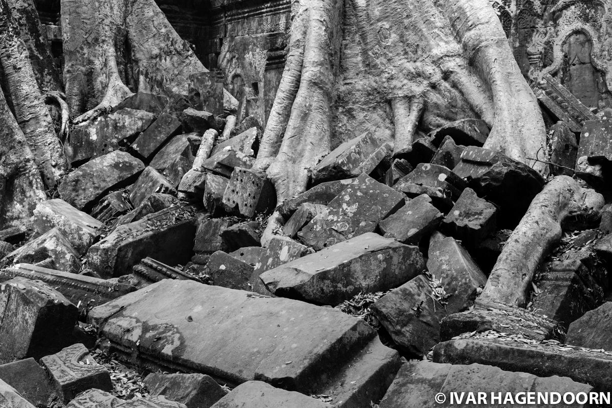 Ta Prohm