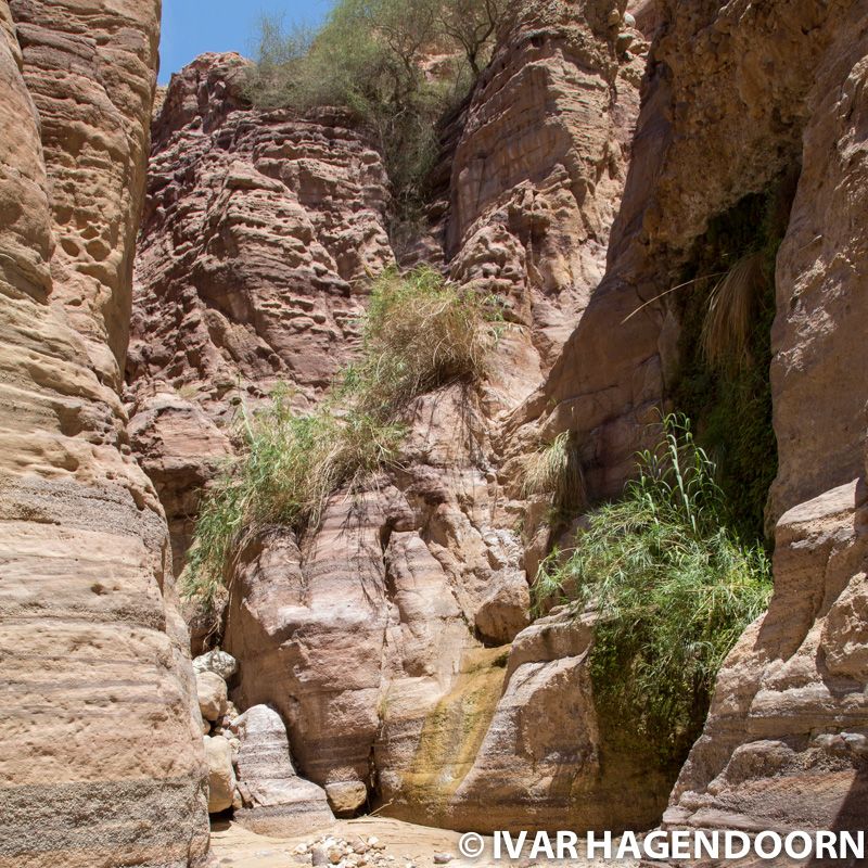 Wadi Numeira, Jordan