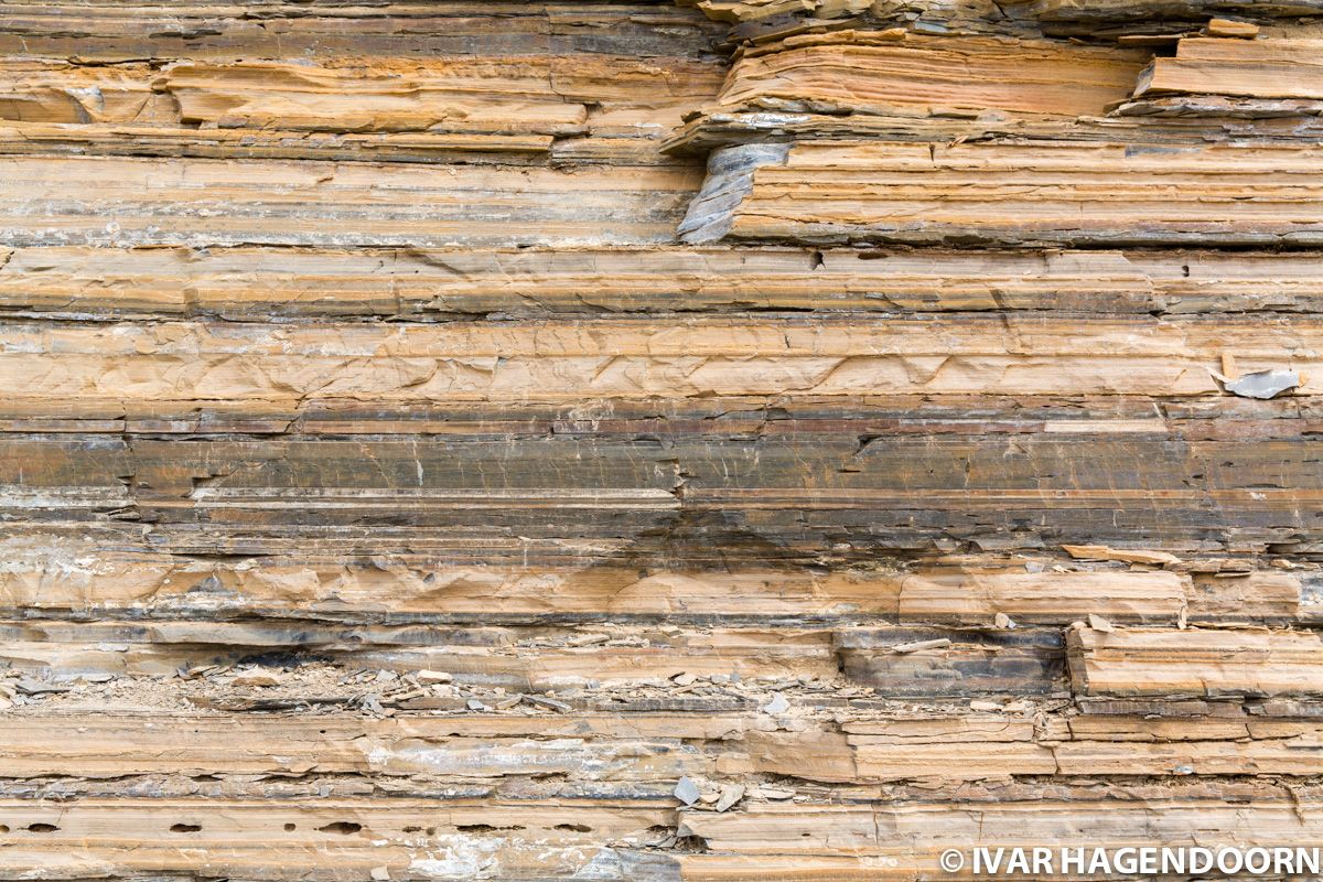 Walcott Quarry Burgess Shale