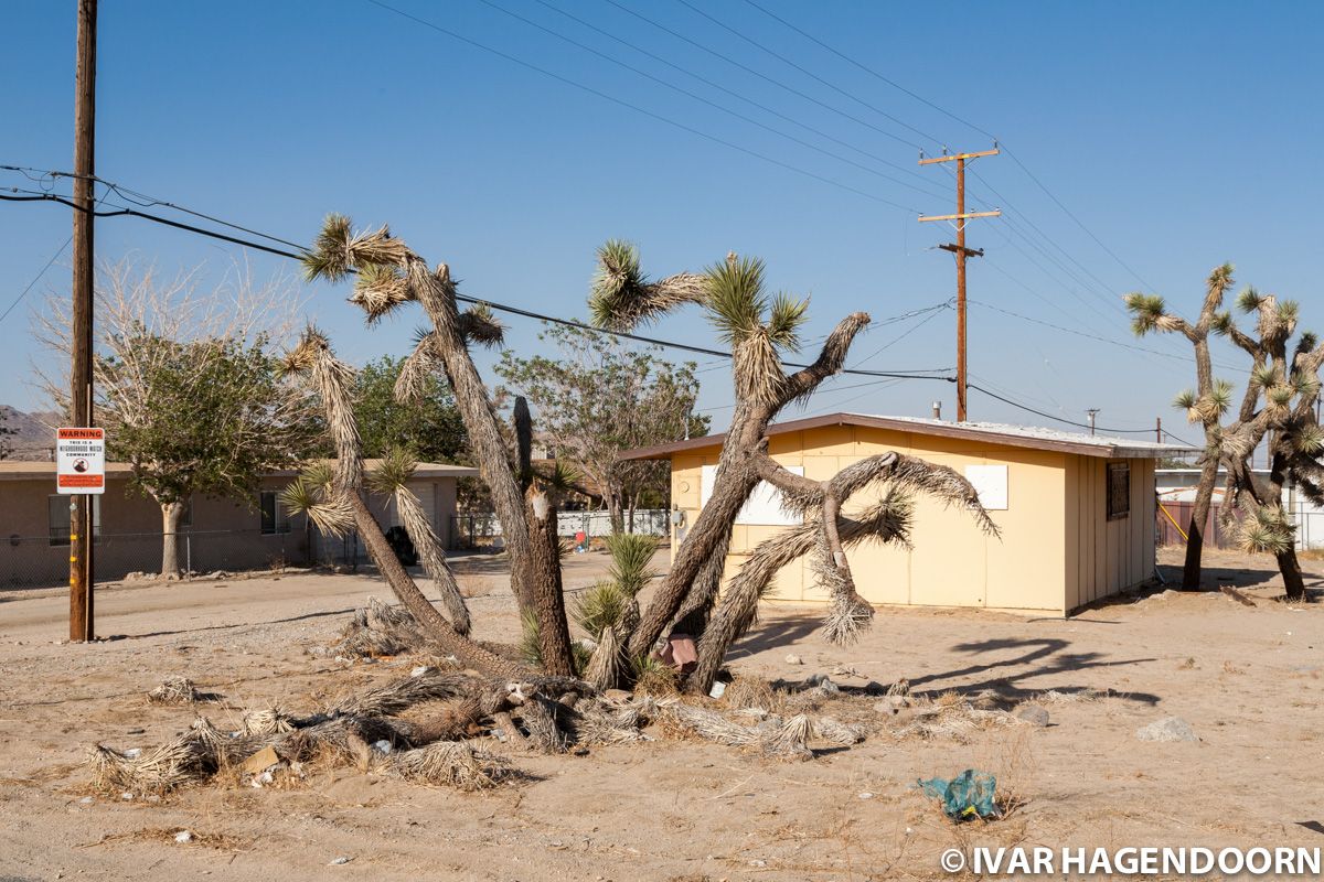 Yucca Valley, California