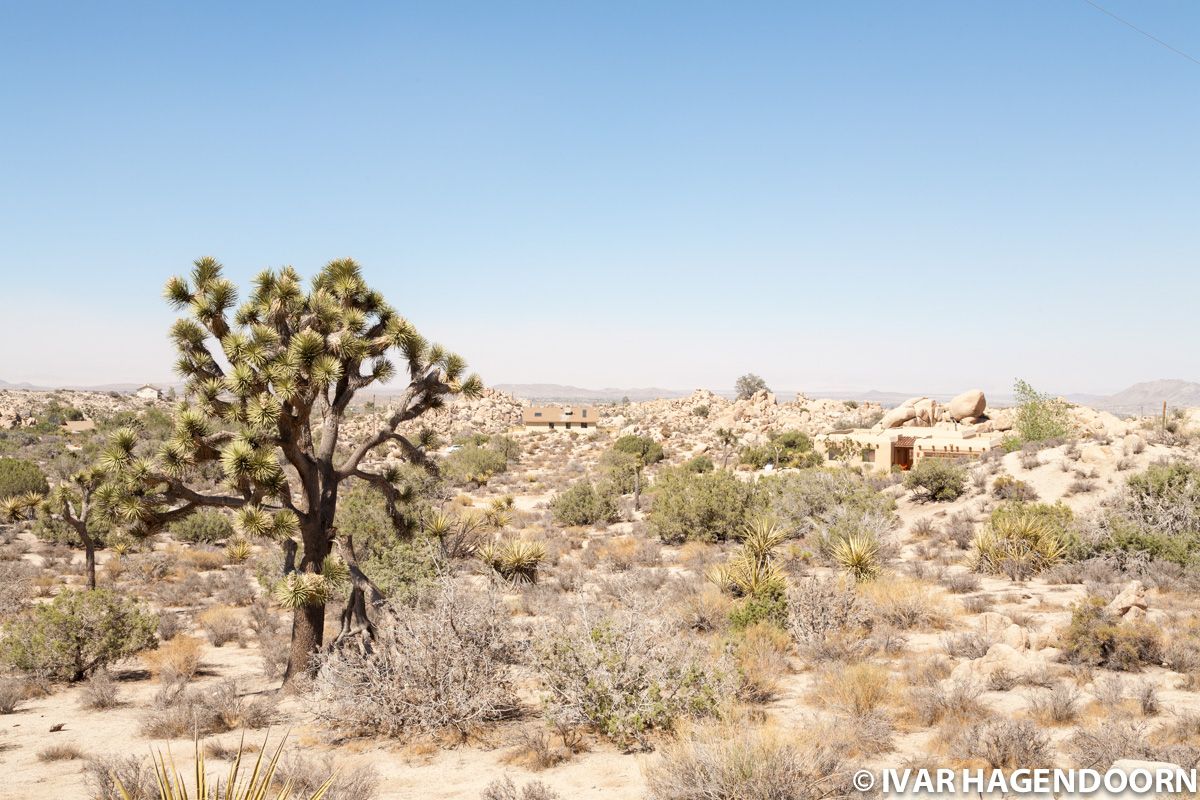 Yucca Valley, California