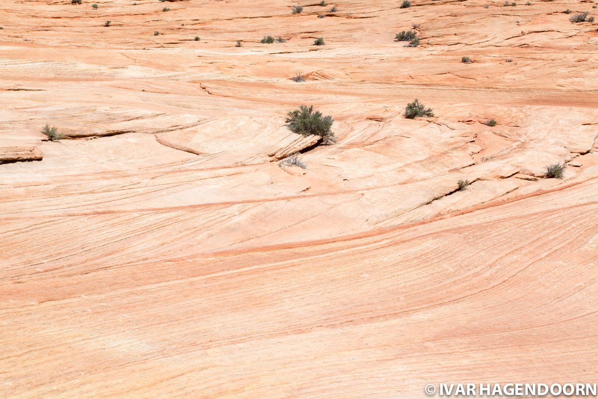 Zion National Park