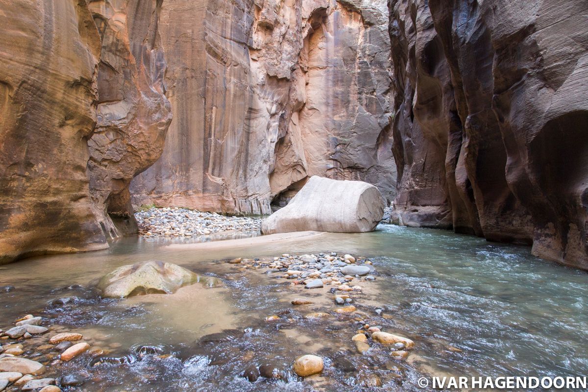 The Narrows, Zion National Park