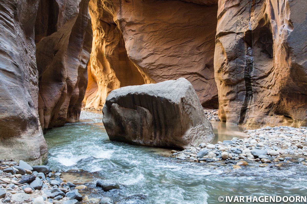 The Narrows, Zion National Park