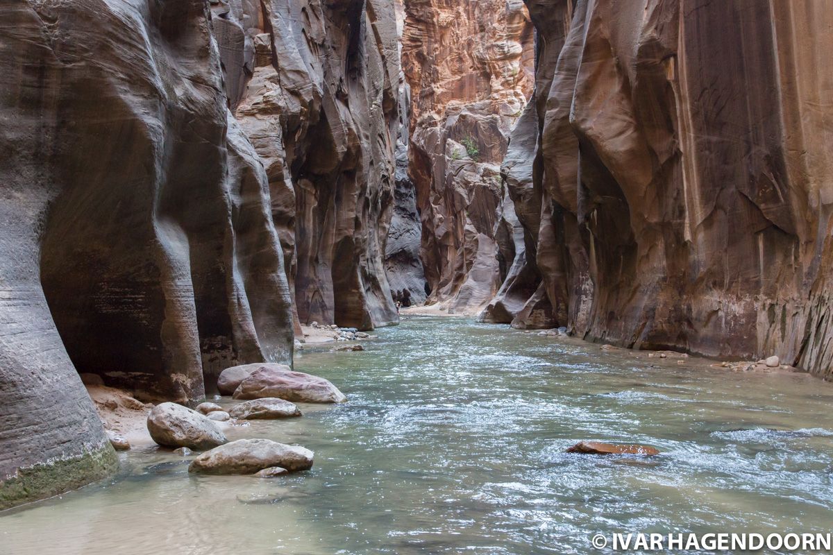 The Narrows, Zion National Park