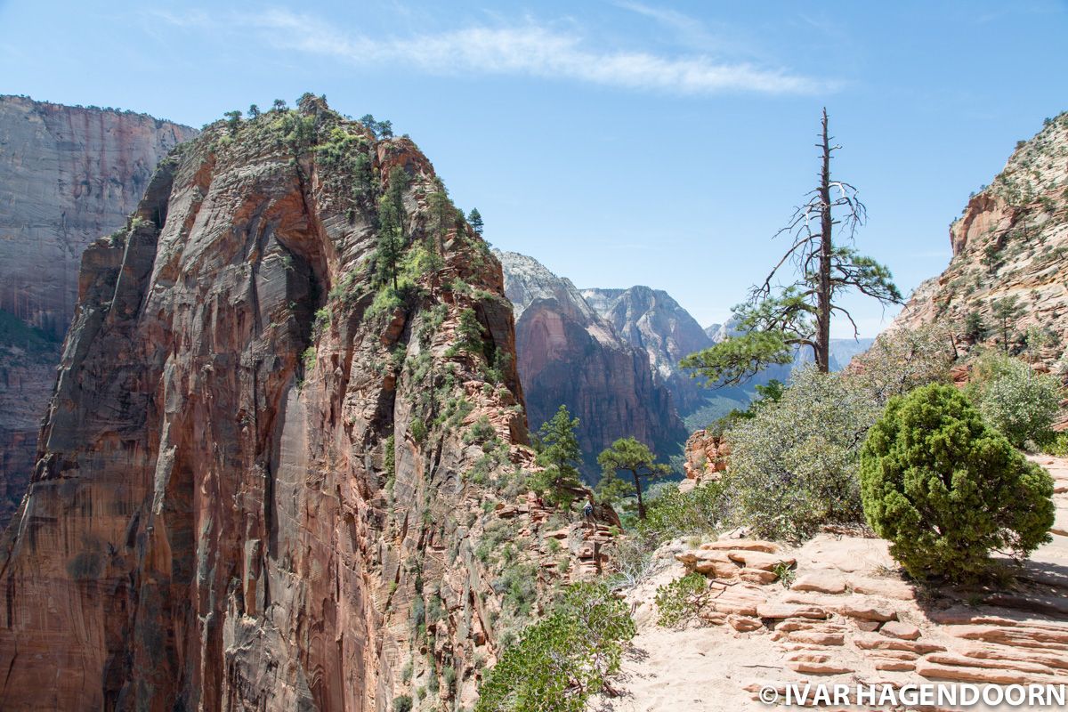 Angels Landing, Zion National Park